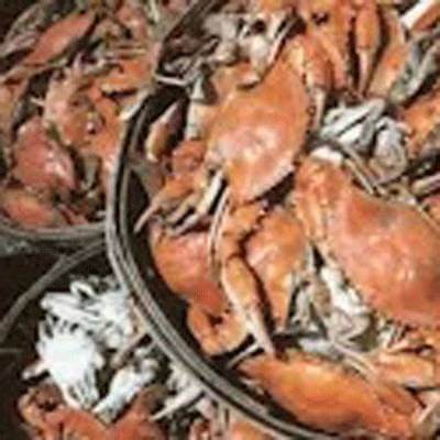 Crabs 1 400x400