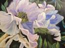 Beauty In Art Shop